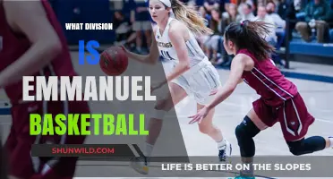 Emmanuel Basketball: What Division?