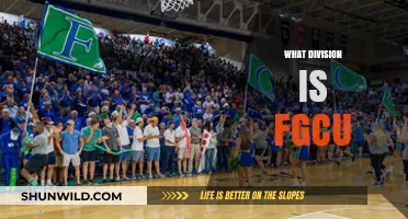 FGCU's Athletic Division: All You Need to Know