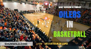 Findlay Oilers: Basketball Division and Conference Explored