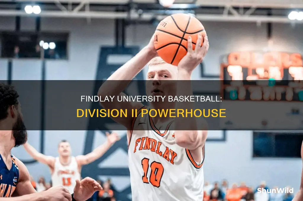 what division is findlay university basketball