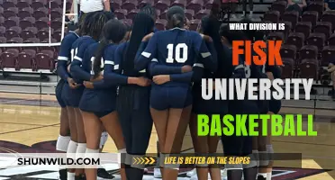 Fisk University Basketball: Which Division Do They Play In?