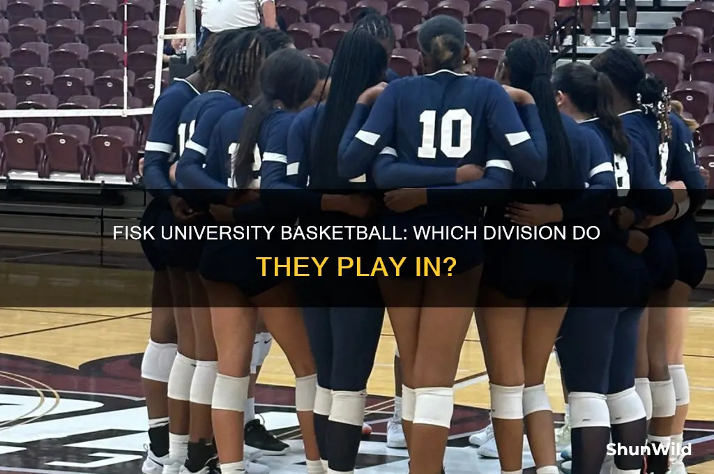 what division is fisk university basketball
