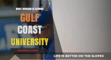 Florida Gulf Coast University: Which Division Do They Belong To?