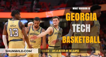 Georgia Tech Basketball: Division and Conference Explained