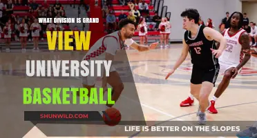 Grand View University Basketball: A Division Overview