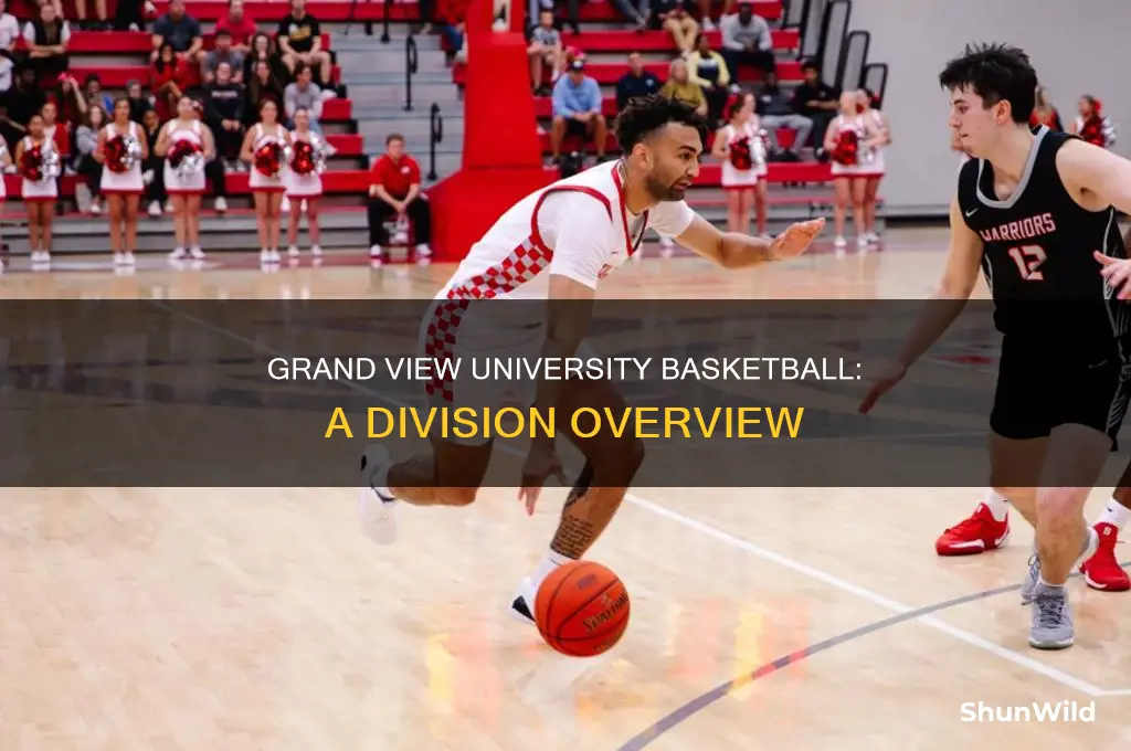 what division is grand view university basketball