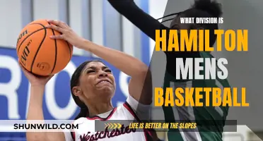 Hamilton Men's Basketball: What Division Are They In?