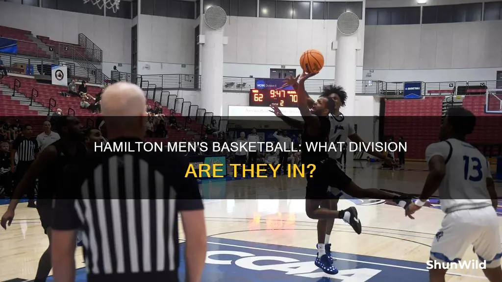 what division is hamilton mens basketball