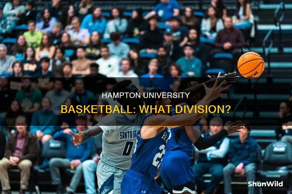 what division is hampton university basketball