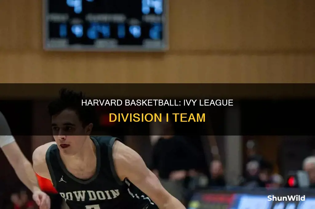 what division is harvard basketball