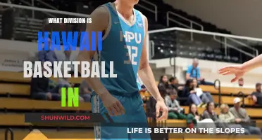 Hawaii Basketball: What Division Do They Play In?