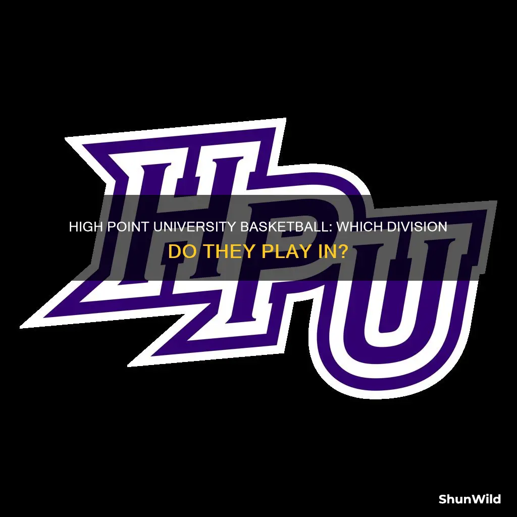 what division is high point university basketball