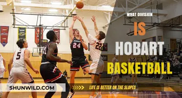 Hobart Basketball: Which Division Do They Play In?