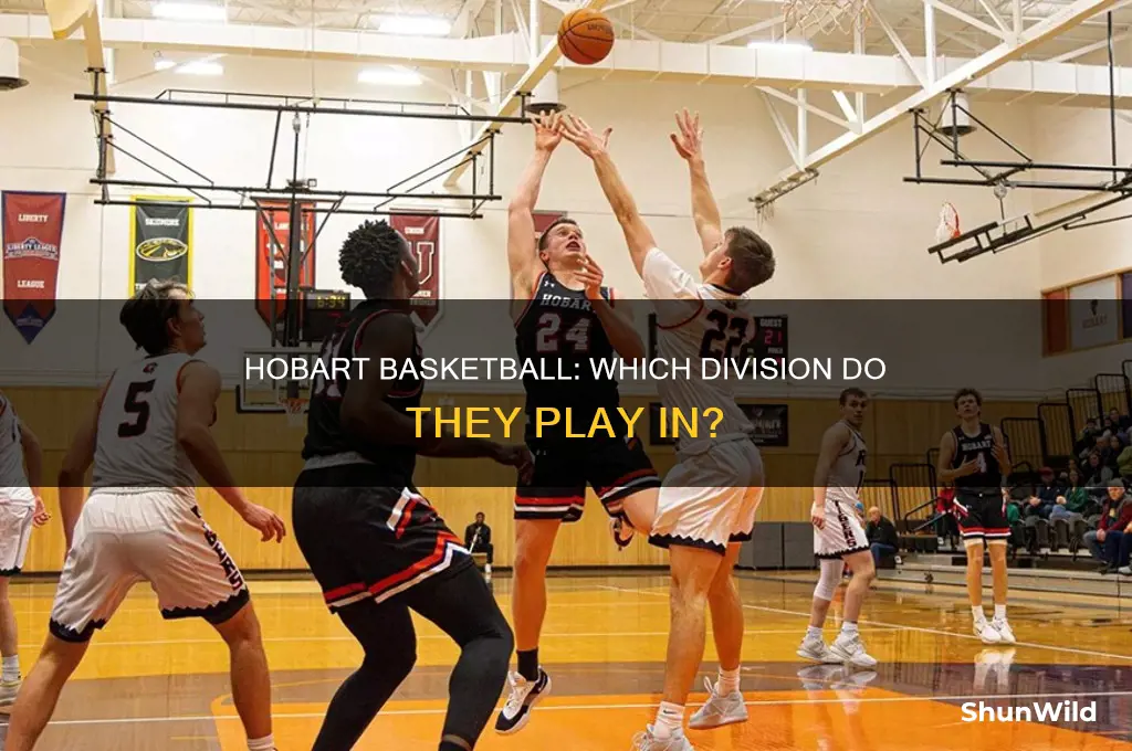 what division is hobart basketball