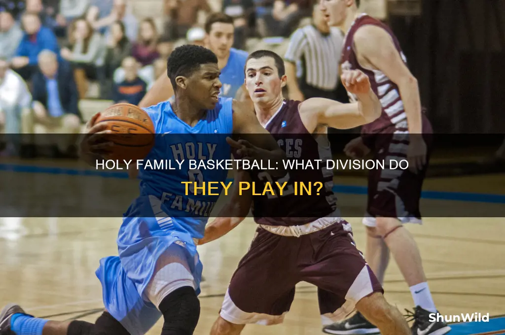 what division is holy family basketball