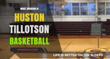 Huston Tillotson Basketball: What Division?