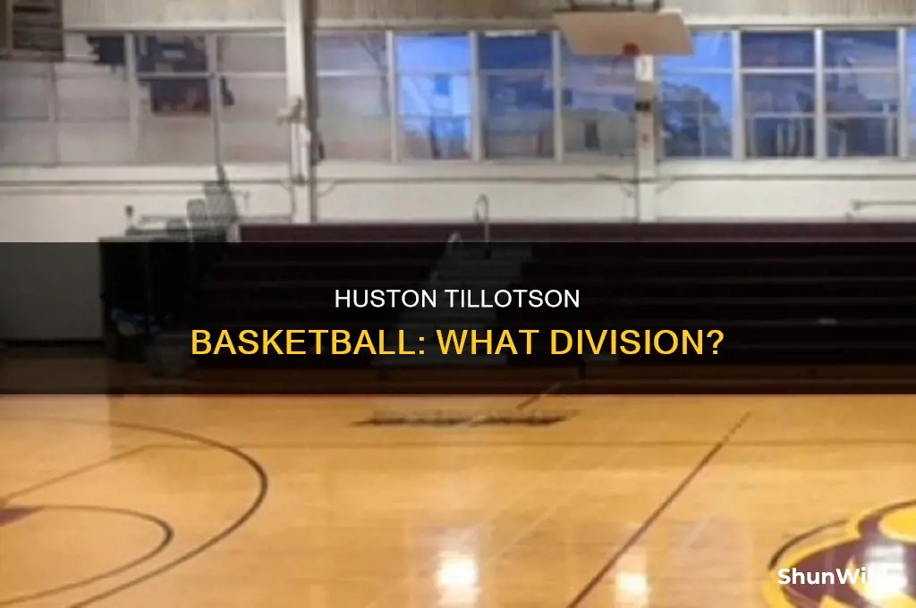 what division is huston tillotson basketball