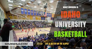 Idaho University Basketball: A Division I Legacy