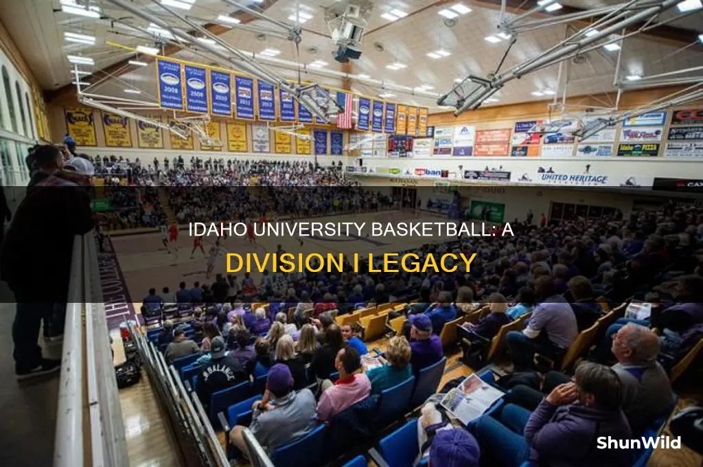 what division is idaho university basketball