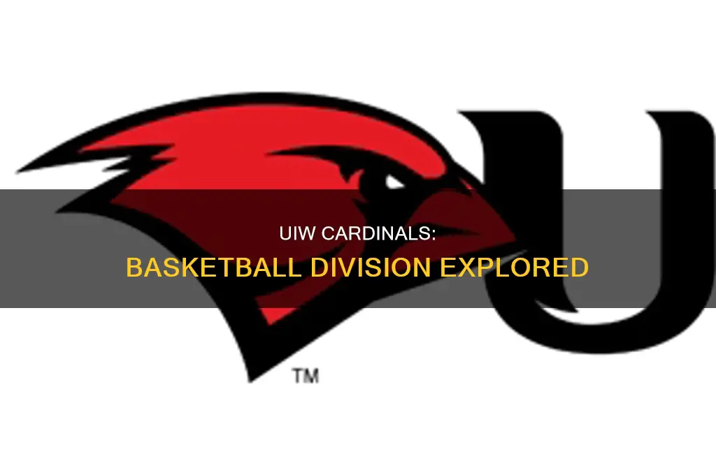 what division is incarnate word basketball