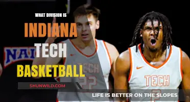 Indiana Tech Basketball: A Division III Powerhouse