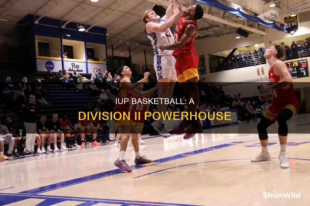 what division is iup basketball