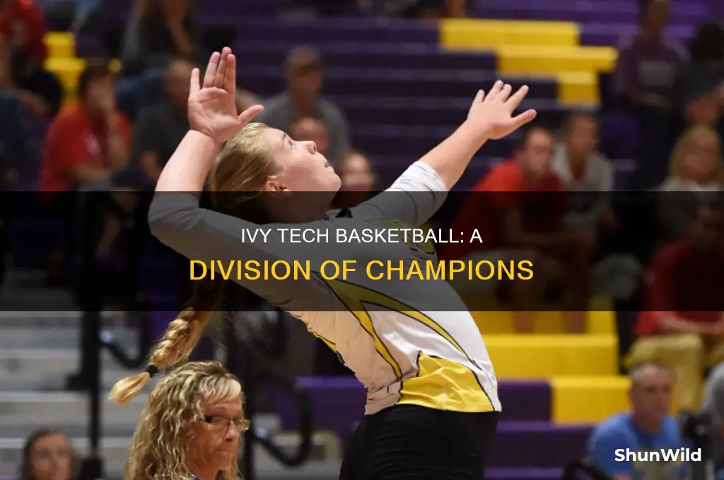what division is ivy tech basketball