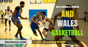 Johnson and Wales Basketball: Which Division?