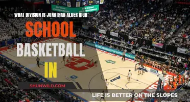 Jonathan Alder High School Basketball: Division and Performance