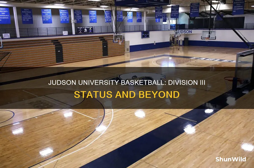 what division is judson university basketball