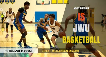 Johnson & Wales University: Basketball Division Status