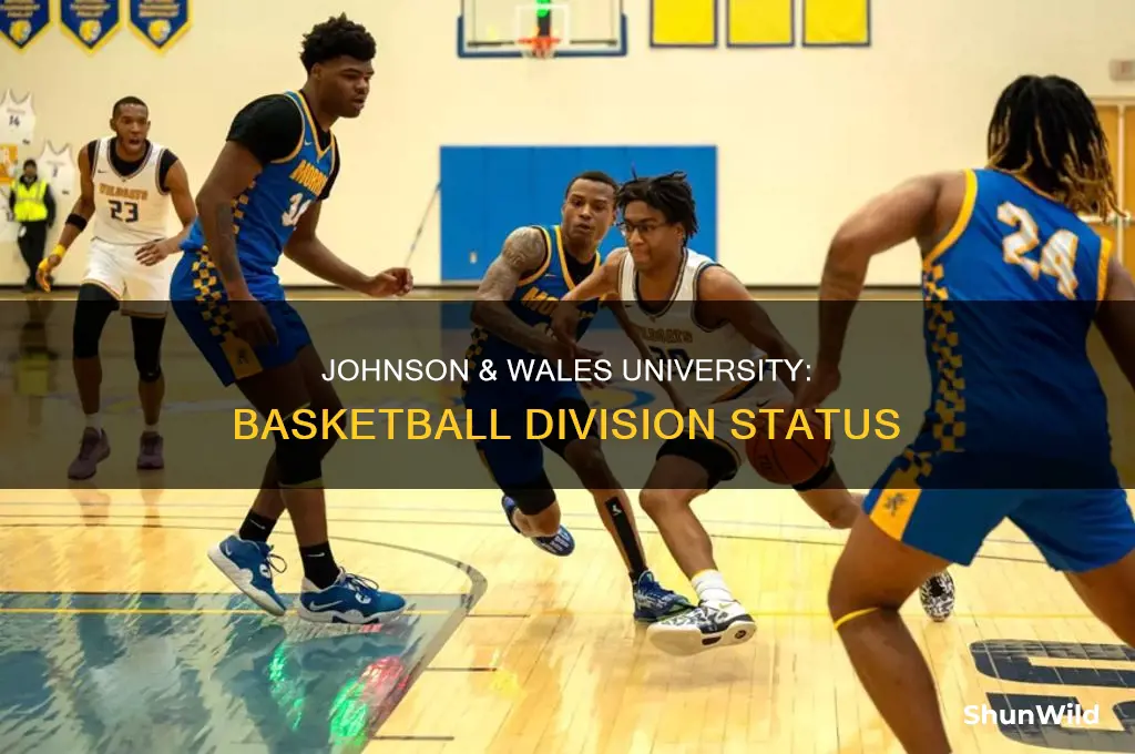 what division is jwu basketball