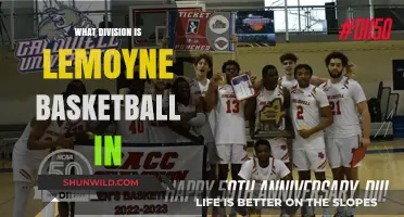 LeMoyne Dolphins: Exploring Their Basketball Division