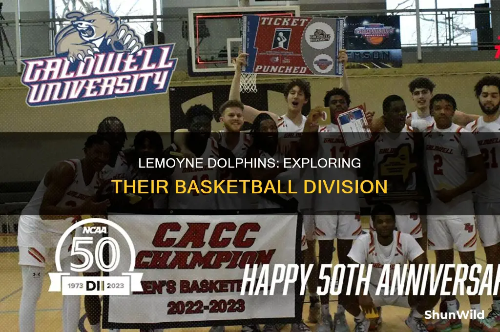 what division is lemoyne basketball in