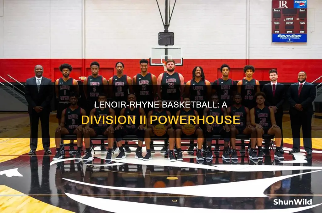 what division is lenoir rhyne basketball