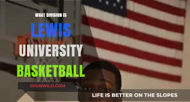 Lewis University Basketball: What Division?