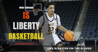 Liberty Basketball: What Division Are They In?
