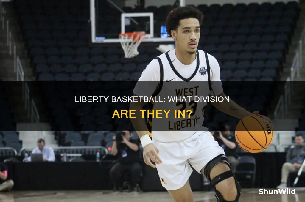 what division is liberty basketball