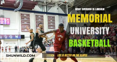 Lincoln Memorial University Basketball: Which Division?