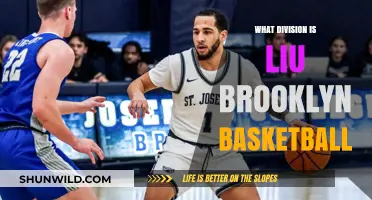 LIU Brooklyn Basketball: A Division to Watch