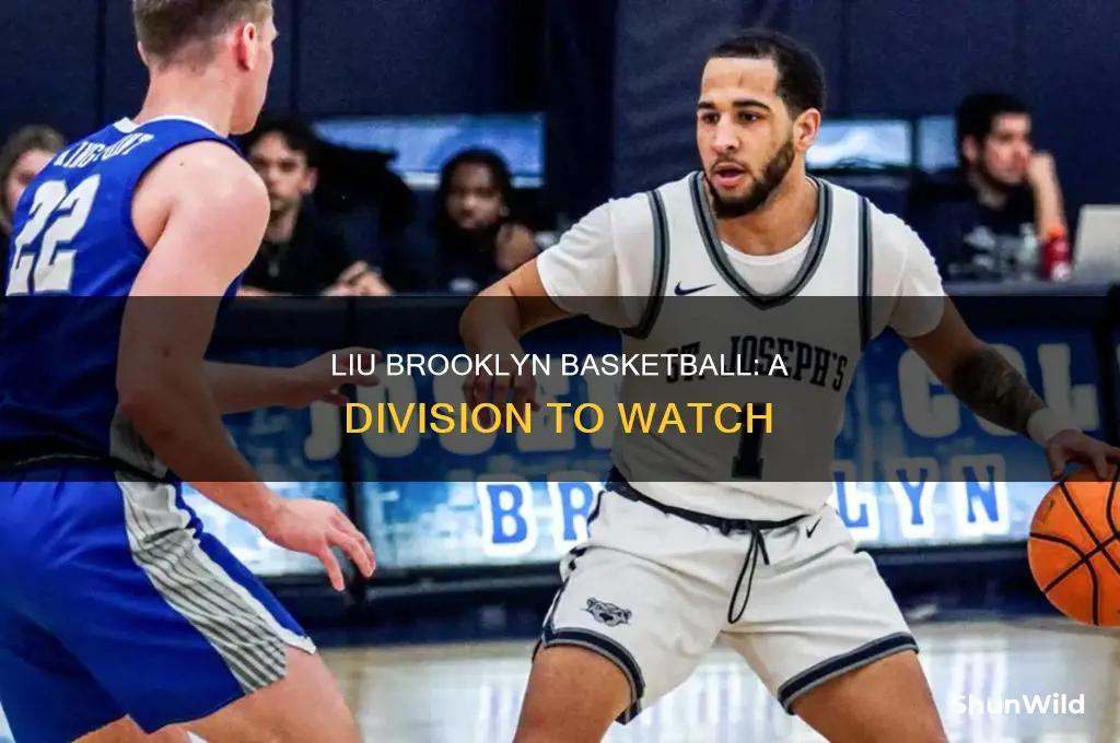 what division is liu brooklyn basketball