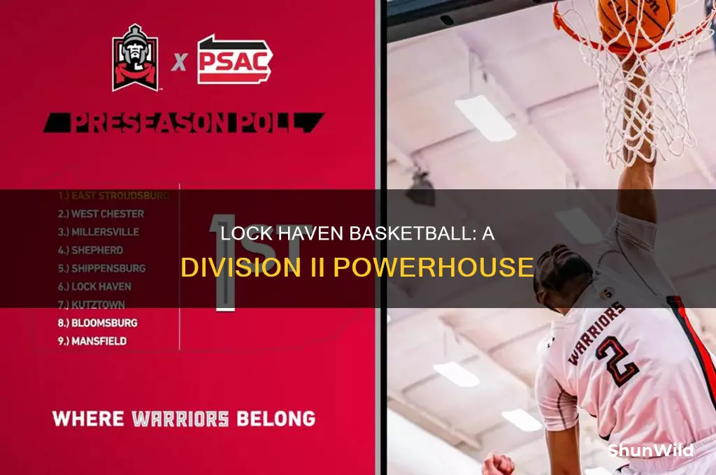 what division is lock haven basketball