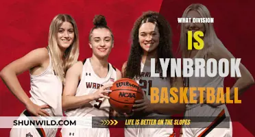 Lynbrook Basketball: A Division of Champions
