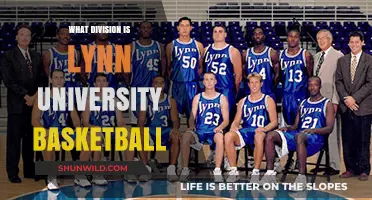 Lynn University Basketball: Which Division Do They Play In?