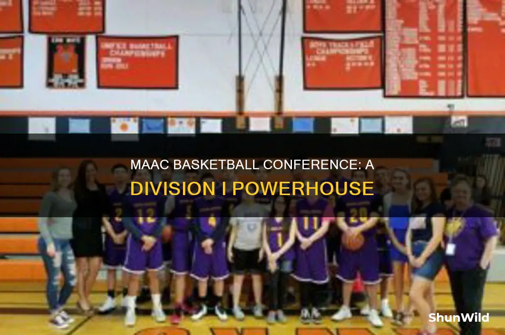 what division is maac basketball conference