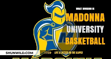 Madonna University Basketball: What Division?