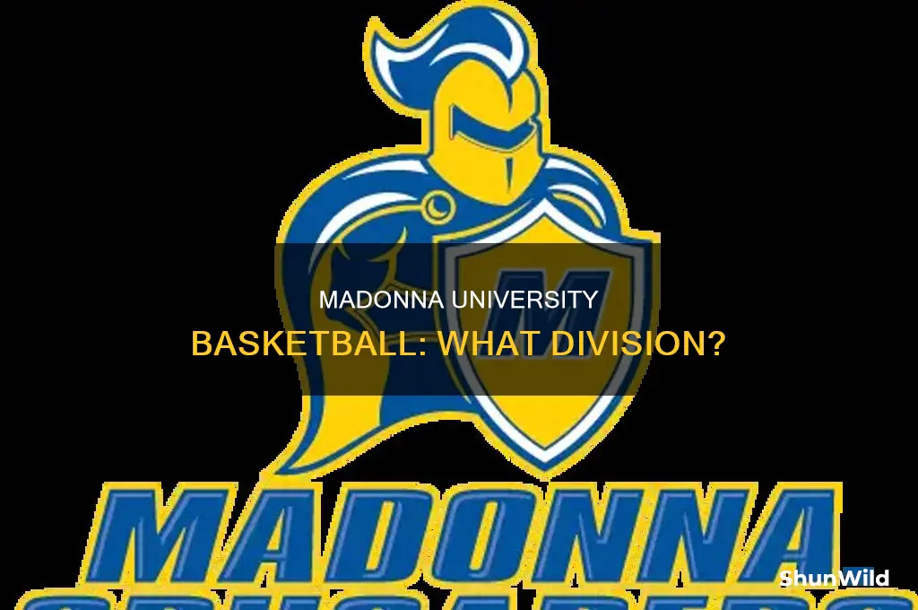 what division is madonna university basketball