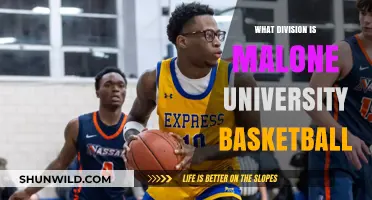 Malone University Basketball: Which Division?