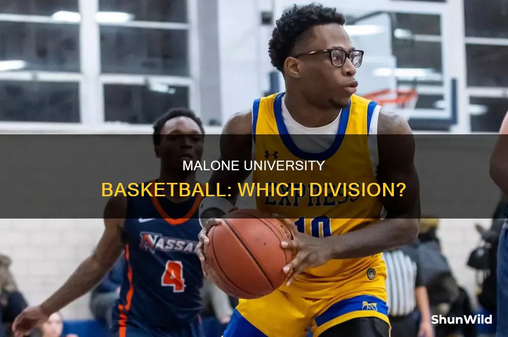 what division is malone university basketball