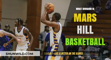 Mars Hill Lions: Their Basketball Division